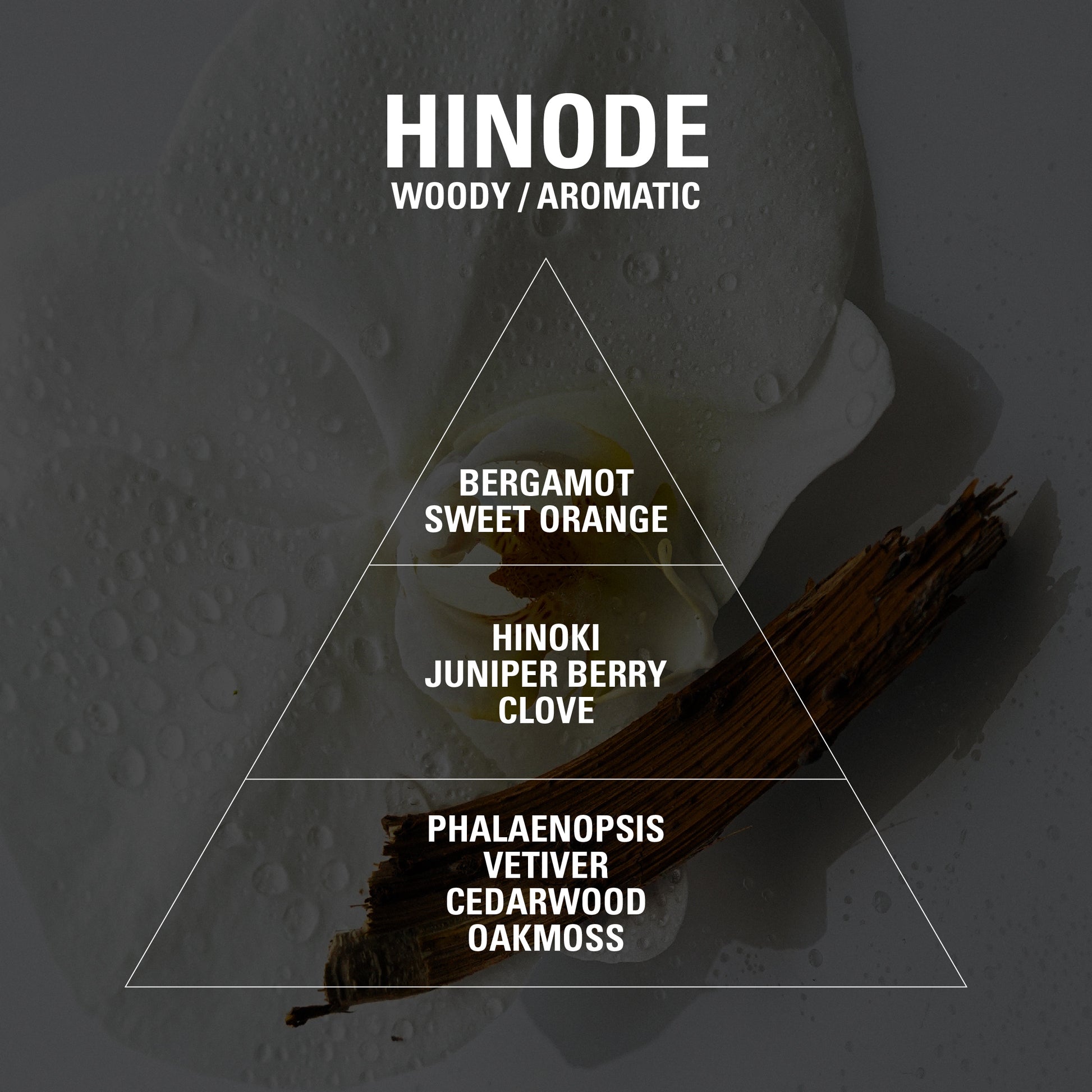 HINODE